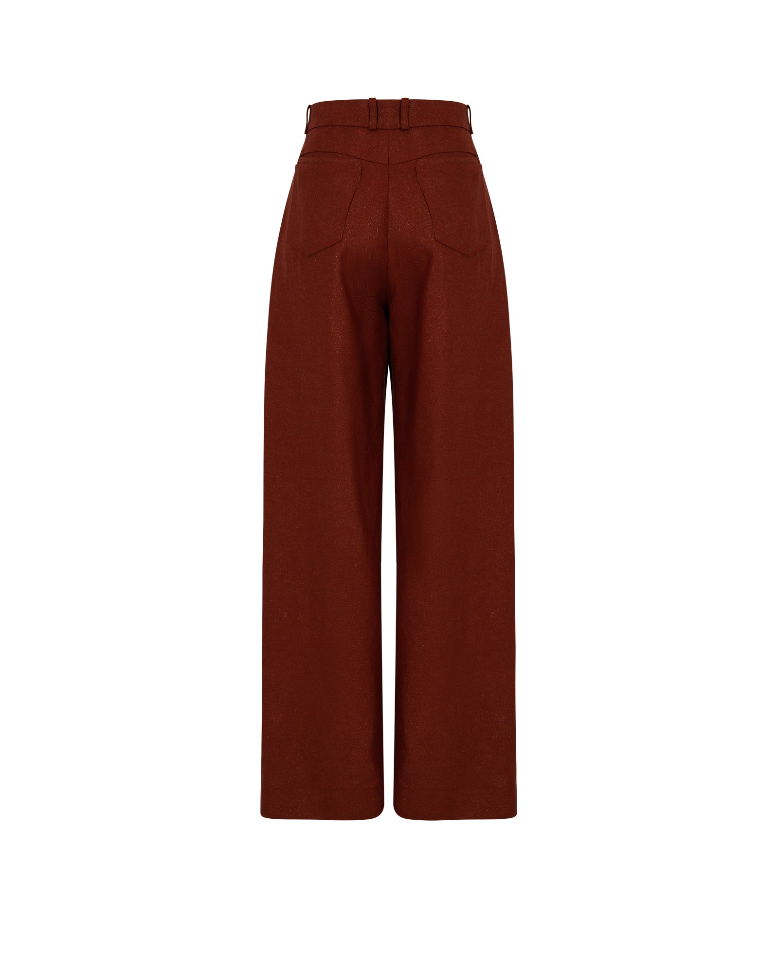 Shiny Linen Large Pants