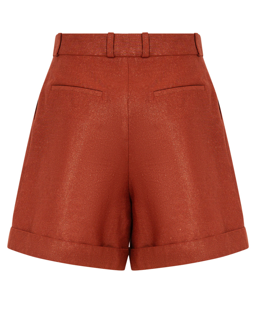 Shiny Linen Shorts
