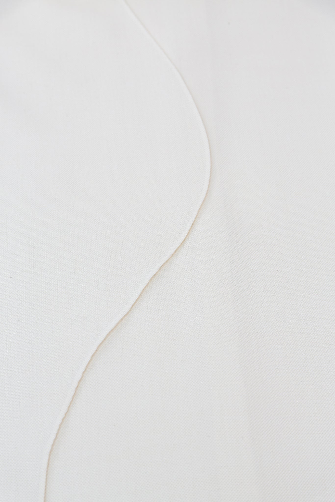 Abstract wavy line on a light gray background